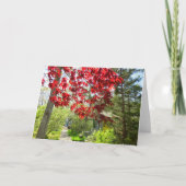 Red Leaves en Walkway - Martha's Vineyard Kaart (Voorkant)