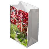 Red Leaves en Walkway - Martha's Vineyard Medium Cadeauzakje (Voorkant Gekanteld)