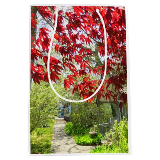 Red Leaves en Walkway - Martha's Vineyard Medium Cadeauzakje (Voorkant)