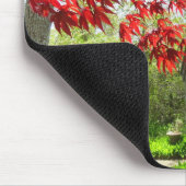 Red Leaves en Walkway - Martha's Vineyard Muismat (Hoek)