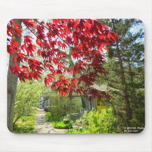 Red Leaves en Walkway - Martha's Vineyard Muismat (Voorkant)