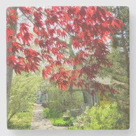 Red Leaves en Walkway - Martha's Vineyard Stenen Onderzetter