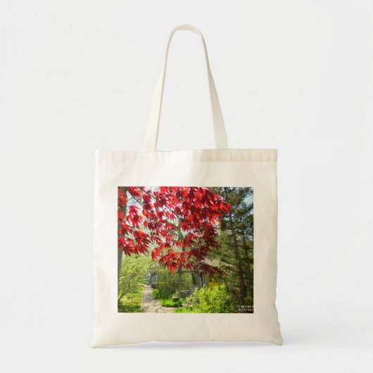 Red Leaves en Walkway - Martha's Vineyard Tote Bag (Voorkant)