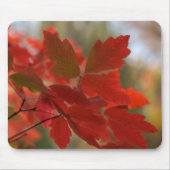 Red Leaves Mousepad Muismat (Voorkant)