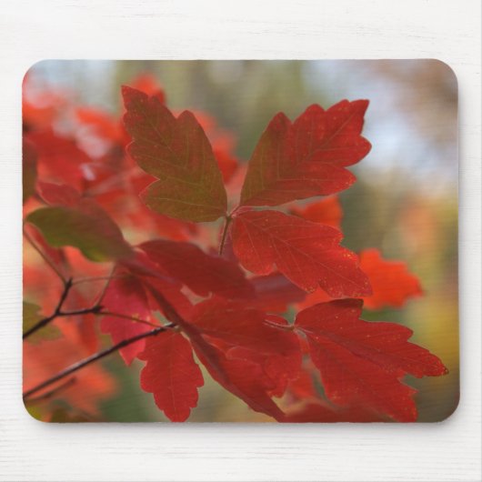 Red Leaves Mousepad Muismat (Voorkant)