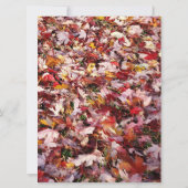 Red Leaves Rustic Autumn Wedding Invitations Kaart (Achterkant)