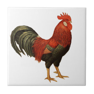 Red Leghorn Rooster Tegeltje