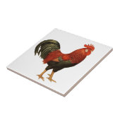 Red Leghorn Rooster Tegeltje (Zijkant)