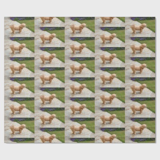 Red Lhasa Apso Cadeaupapier (Vlak)