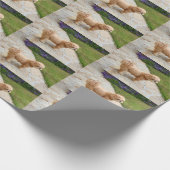 Red Lhasa Apso Cadeaupapier (Hoek)