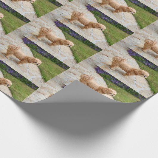 Red Lhasa Apso Cadeaupapier (Hoek)