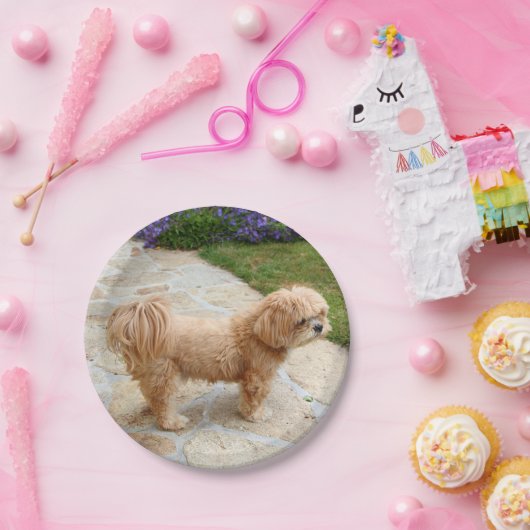 Red Lhasa Apso Papieren Bordje (Feest)