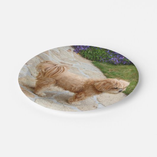 Red Lhasa Apso Papieren Bordje (Gekanteld)