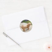 Red Lhasa Apso Ronde Sticker (Envelop)