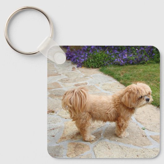 Red Lhasa Apso Sleutelhanger (Voorkant)