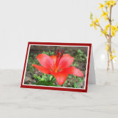 Red Lilie 1 Kaart (Gele Bloem)