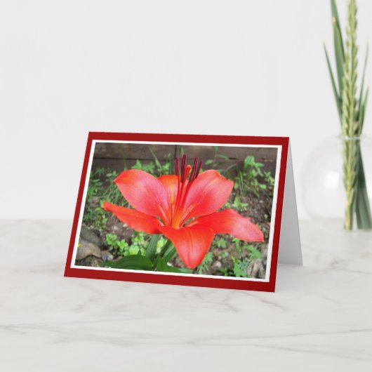 Red Lilie 1 Kaart (Voorkant)