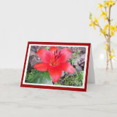 Red Lilie 2 Kaart (Gele Bloem)