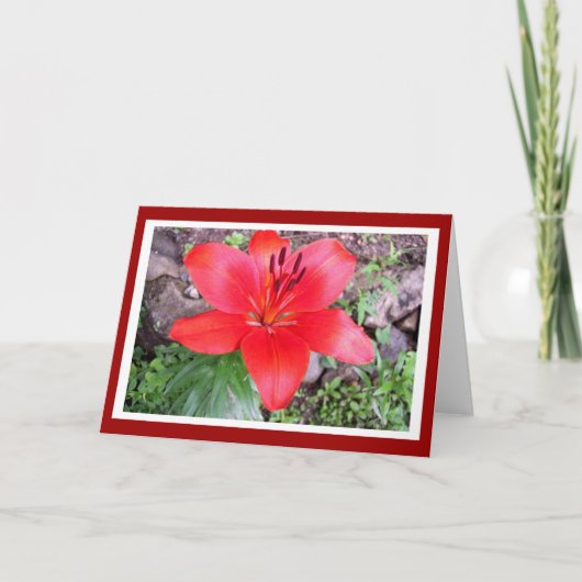 Red Lilie 2 Kaart (Voorkant)