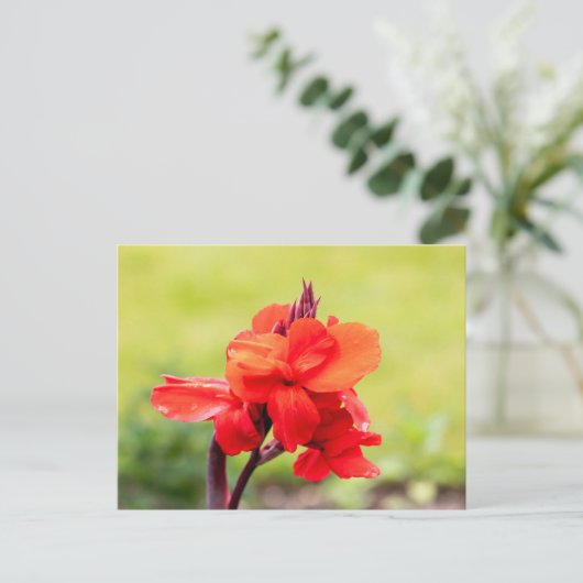 Red Lily Briefkaart (Staand voorkant)