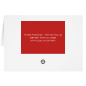 Red Lily Flower Close Note card (Achterkant Horizontaal)