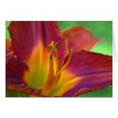 Red Lily Flower Close Note card (Voorkant Horizontaal)