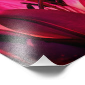 Red Lily Flower Close Up 8x10 Foto Afdruk (Hoek)