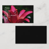 Red Lily Flower Up Close Visitekaartje (Voorkant / Achterkant)