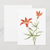 Red Lily Flowers -  botanische kunstkaart (Voorkant / Achterkant)