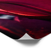 Red Lily gaat dicht Poster (Hoek)