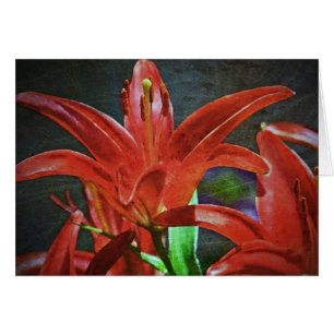 Red Lily getextureerd door Shirley Taylor