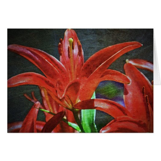 Red Lily getextureerd door Shirley Taylor (Voorkant Horizontaal)