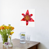 Red Lily - Lilium asiatic Folie Accent Print Poste (Laag (Keuken))