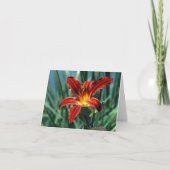 Red Lily Note Kaart (Voorkant)