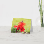 Red Lily Notitiekaartje (Voorkant)