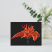 Red Lily op zwart Briefkaart (Staand voorkant)