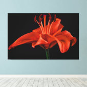 Red Lily op zwart Canvas Afdruk (Insitu (Houten vloer))