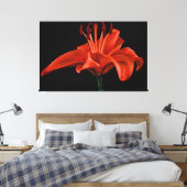 Red Lily op zwart Canvas Afdruk (Insitu (Slaapkamer))