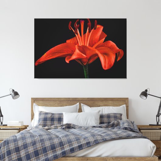 Red Lily op zwart Canvas Afdruk (Insitu (Slaapkamer))