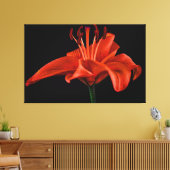 Red Lily op zwart Canvas Afdruk (Insitu (Woonkamer))