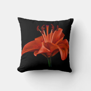 Red Lily op zwart Kussen