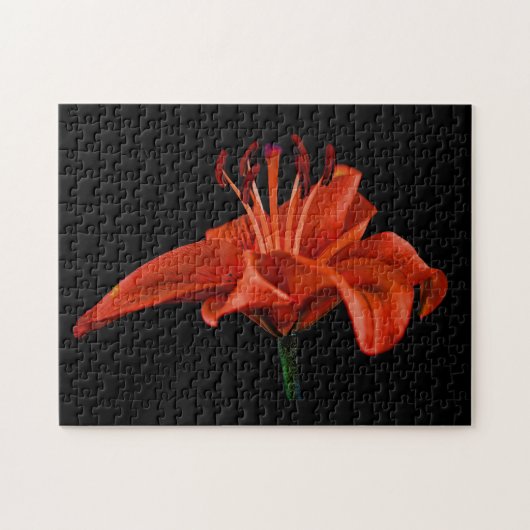 Red Lily op zwart Legpuzzel (Horizontaal)