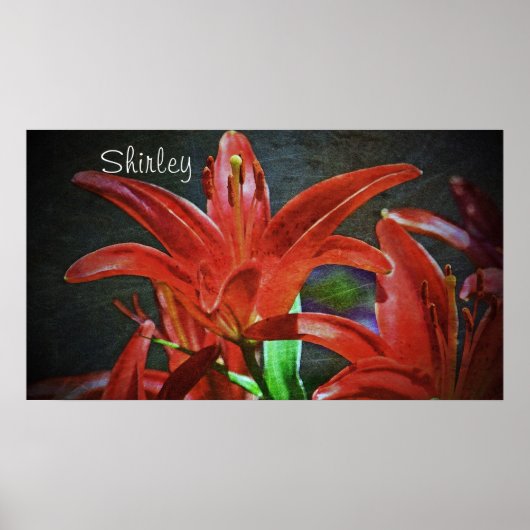 Red Lily-Textured door Shirley Taylor Poster (Voorkant)