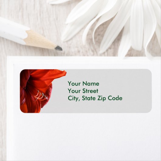 Red Lion Amaryllis Flower Christmas-adresetiketten Etiket (Insitu)