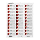 Red Lion Amaryllis Flower Christmas-adresetiketten Etiket (Full Sheet)