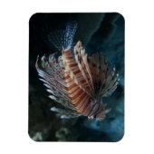 Red Lionfish Photo Magnet Magneet (Verticaal)