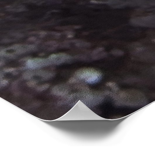 Red Lionfish Poster (Hoek)