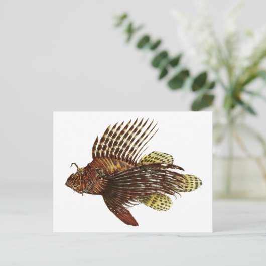Red Lionfish  Print Briefkaart (Staand voorkant)