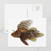 Red Lionfish Print Briefkaart (Voorkant / Achterkant)