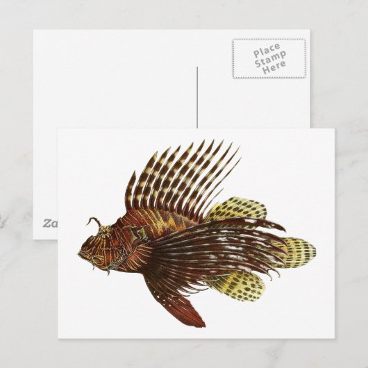 Red Lionfish  Print Briefkaart (Voorkant / Achterkant)